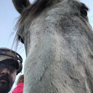 Meet your Posher, Frank